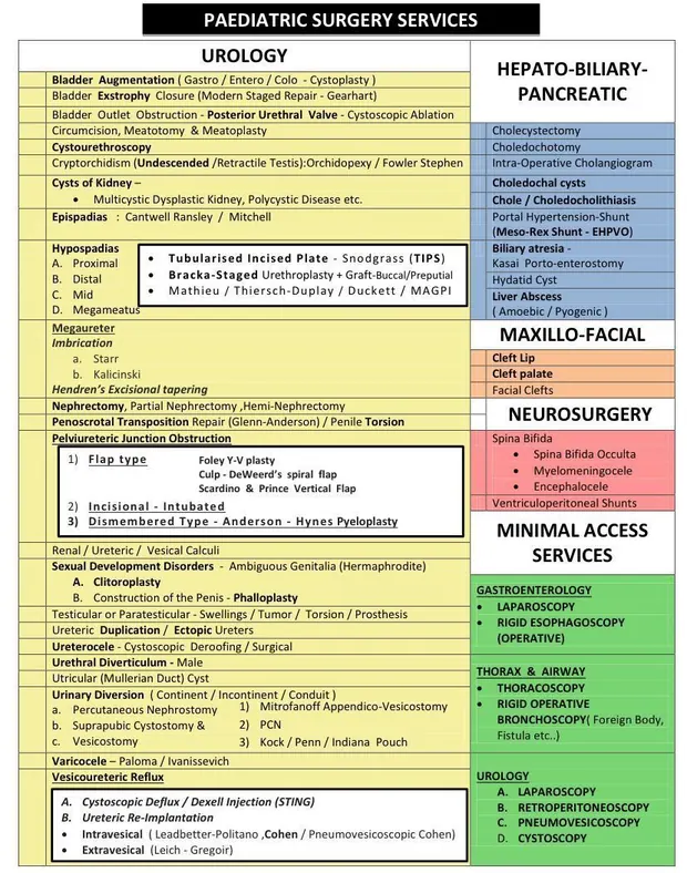 Hospital services chart listing paediatric and minimal access procedures